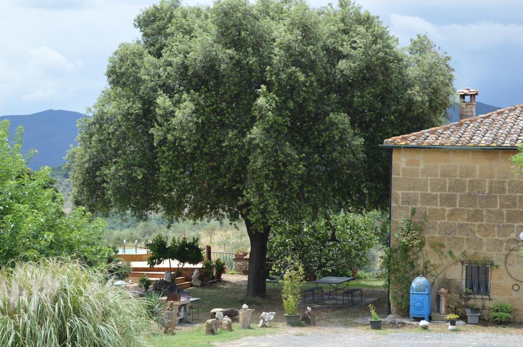 Agri-Bio Podere Santa Palmira 波马兰切 外观 照片